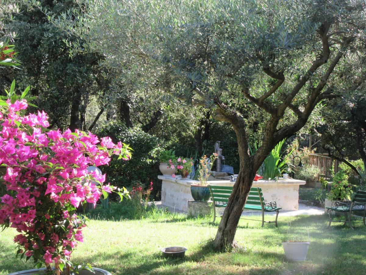 Domaine Du Bois Gite Bleuette Galargues Екстер'єр фото