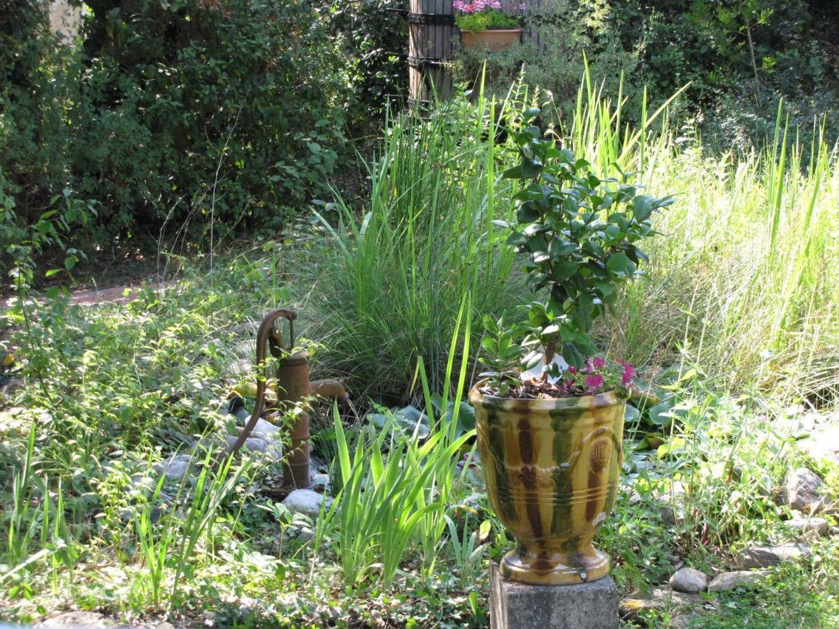 Domaine Du Bois Gite Bleuette Galargues Екстер'єр фото